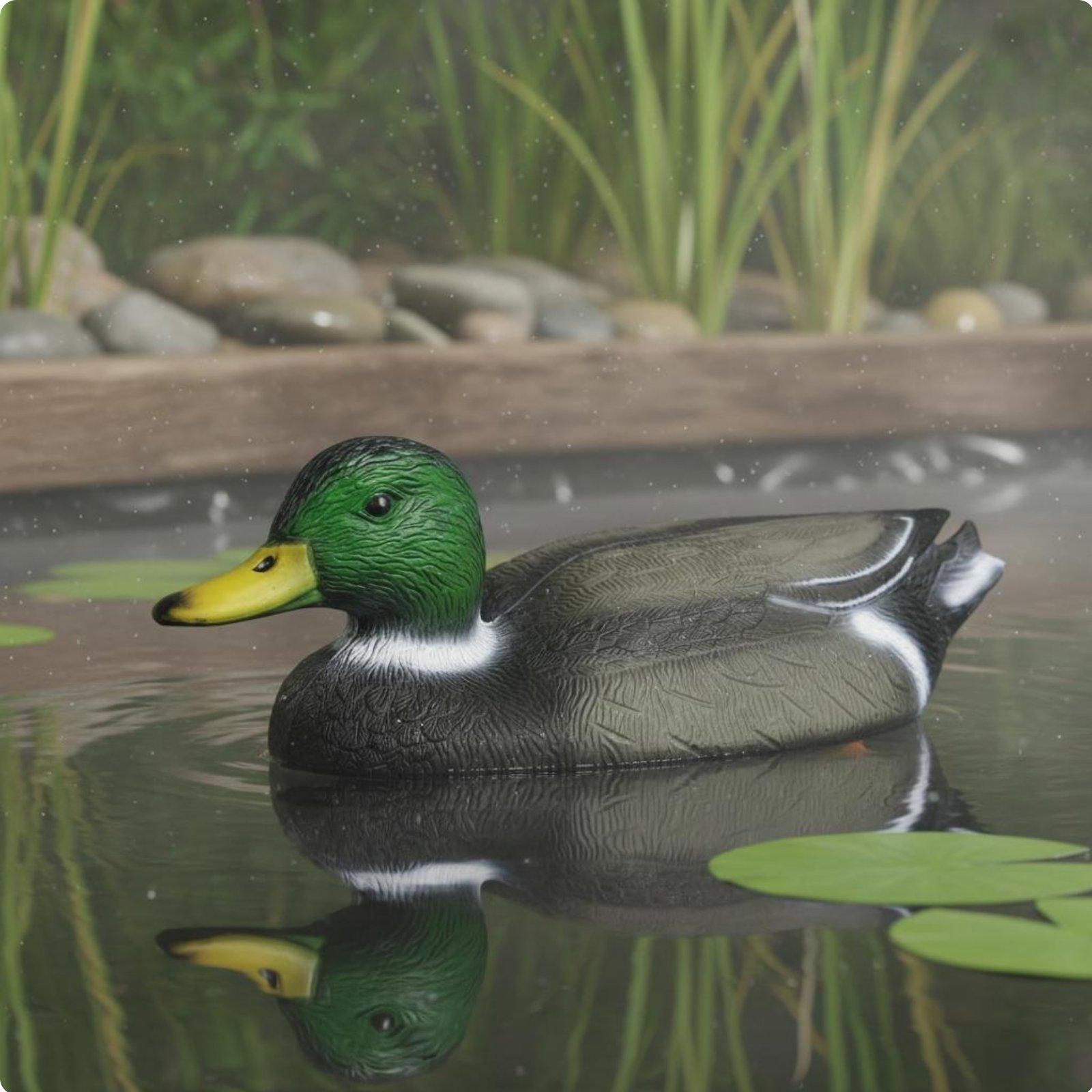 Floating Duck Decoy Realistic  - Hunting & Outdoor Supplies Vanderbijlpark Photos recension och pris