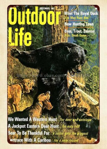 office wall decor 1967 Outdoor - Outdoor Hunting Dogs recension och pris