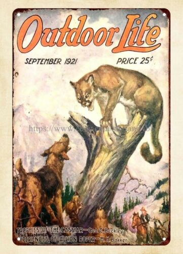 buy wall 1921 OUTDOOR LIFE mag - Outdoor Hunting Dogs recension och pris