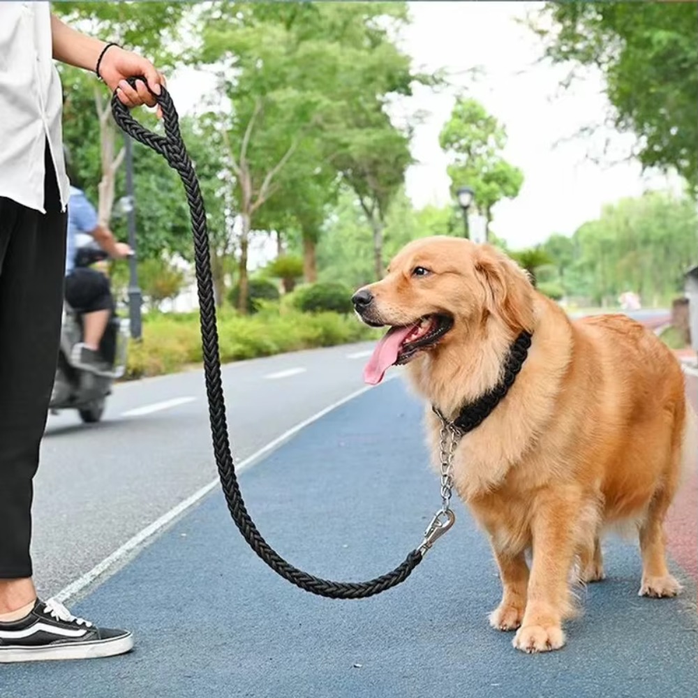 Heavy Duty Large Dog Leash Dur - Outdoor Hunting Dogs recension och pris