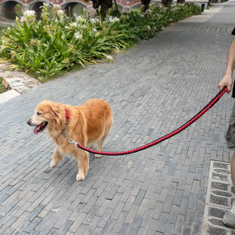 Heavy Duty Large Dog Leash Dur - Outdoor Hunting Dogs recension och pris